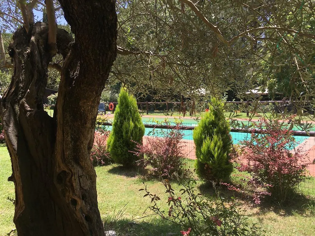Casale La Canigiana Agriturismo Villa San Miniato Farm stay